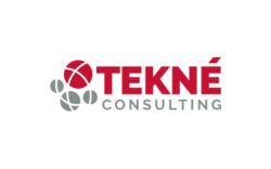 TEKNÉ Consulting